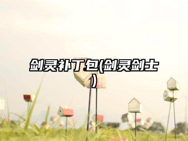 剑灵补丁包(剑灵剑士)