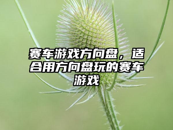 赛车游戏方向盘，适合用方向盘玩的赛车游戏