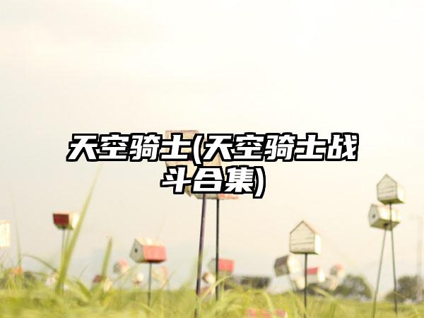 天空骑士(天空骑士战斗合集)