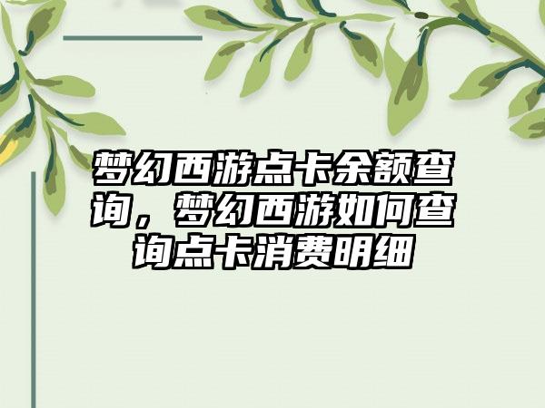 梦幻西游点卡余额查询，梦幻西游如何查询点卡消费明细