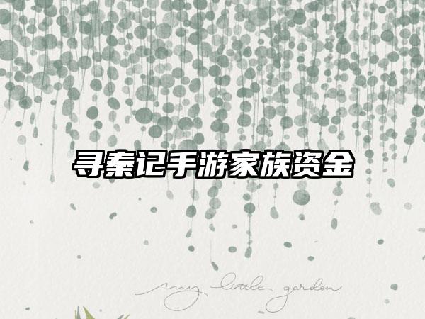 寻秦记手游家族资金