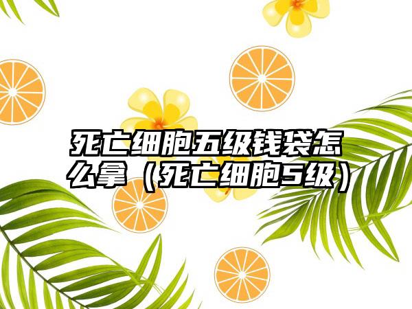 死亡细胞五级钱袋怎么拿（死亡细胞5级）