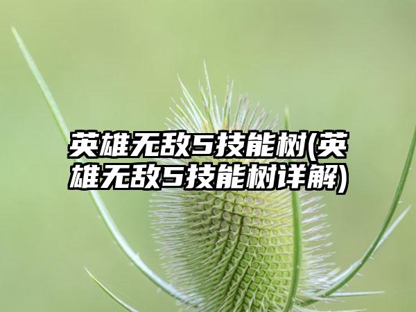 英雄无敌5技能树(英雄无敌5技能树详解)