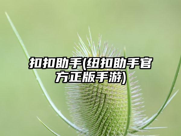 扣扣助手(纽扣助手官方正版手游)