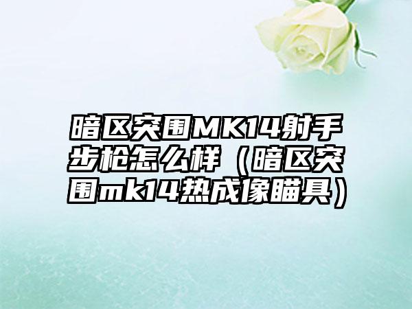 暗区突围MK14射手步枪怎么样（暗区突围mk14热成像瞄具）