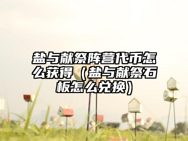 盐与献祭阵营代币怎么获得（盐与献祭石板怎么兑换）