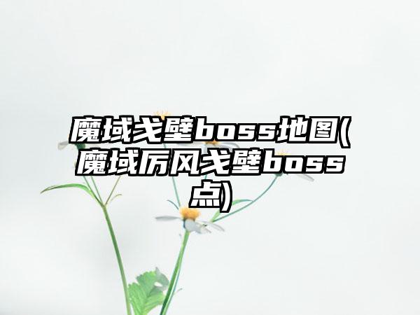 魔域戈壁boss地图(魔域厉风戈壁boss点)