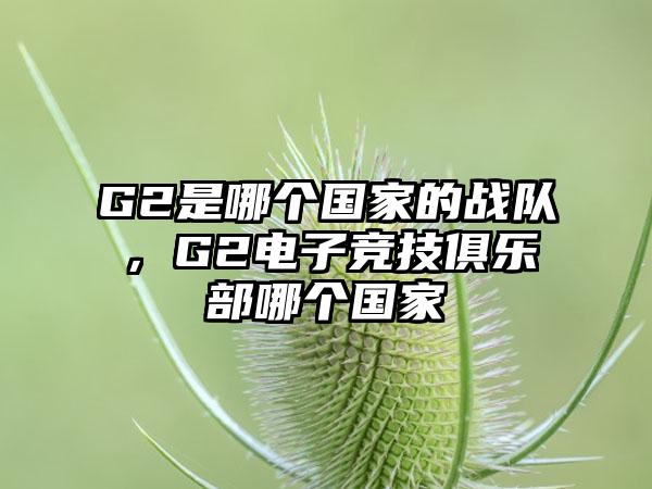 G2是哪个国家的战队，G2电子竞技俱乐部哪个国家