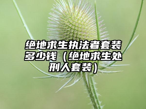 绝地求生执法者套装多少钱（绝地求生处刑人套装）