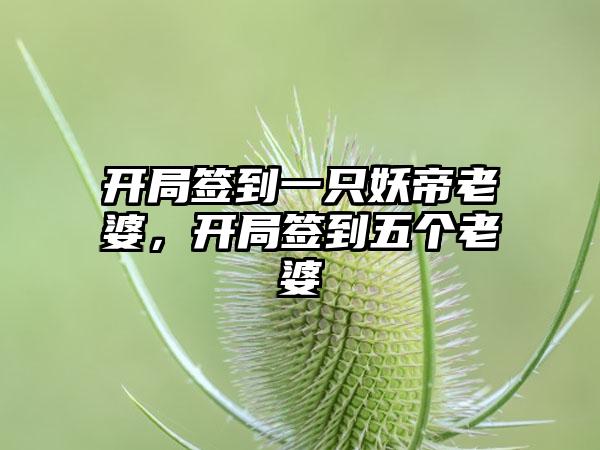 开局签到一只妖帝老婆，开局签到五个老婆