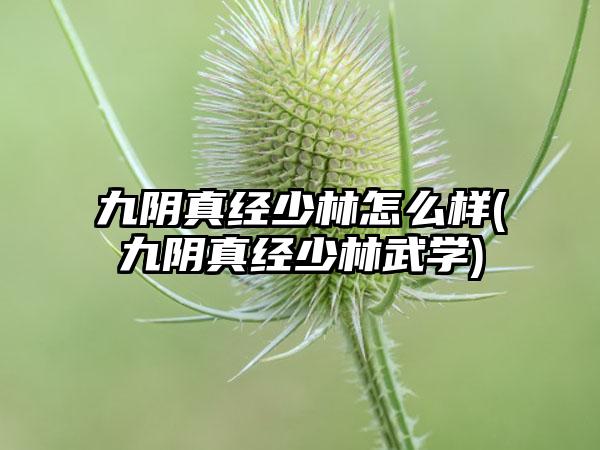 九阴真经少林怎么样(九阴真经少林武学)