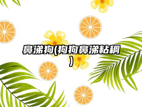 鼻涕狗(狗狗鼻涕粘稠)