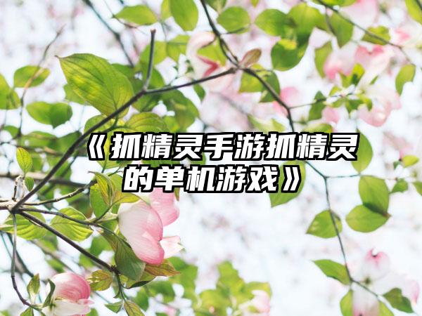《抓精灵手游抓精灵的单机游戏》