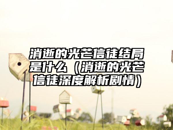 消逝的光芒信徒结局是什么（消逝的光芒信徒深度解析剧情）