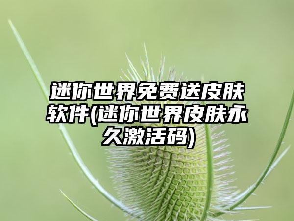 迷你世界免费送皮肤软件(迷你世界皮肤永久激活码)