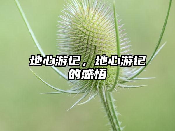地心游记，地心游记的感悟