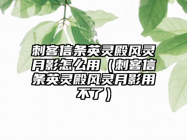 刺客信条英灵殿风灵月影怎么用（刺客信条英灵殿风灵月影用不了）