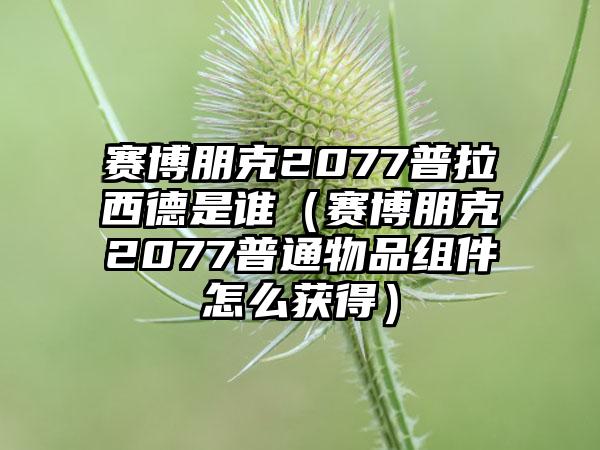赛博朋克2077普拉西德是谁（赛博朋克2077普通物品组件怎么获得）