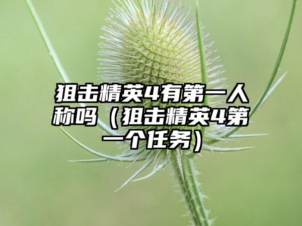 狙击精英4有第一人称吗（狙击精英4第一个任务）