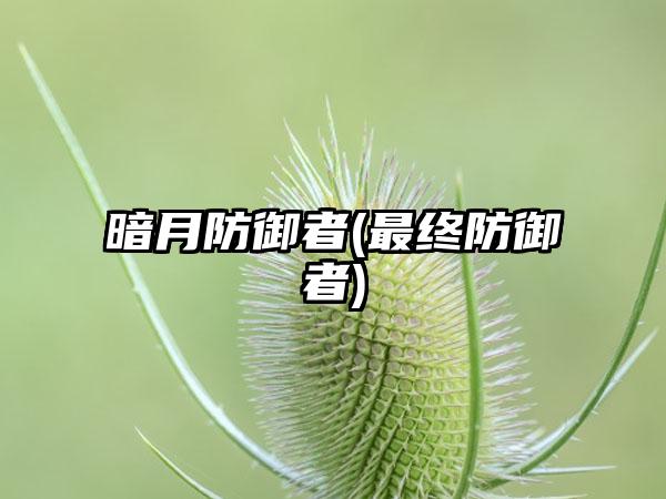 暗月防御者(最终防御者)