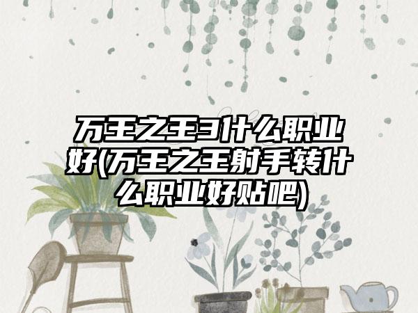 万王之王3什么职业好(万王之王射手转什么职业好贴吧)