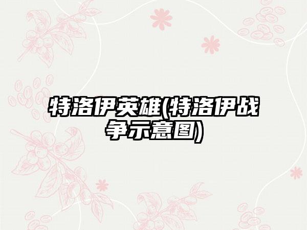 特洛伊英雄(特洛伊战争示意图)