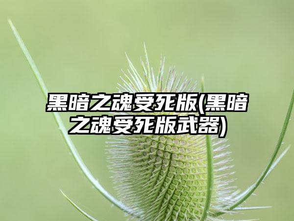 黑暗之魂受死版(黑暗之魂受死版武器)