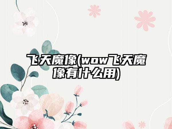 飞天魔像(wow飞天魔像有什么用)