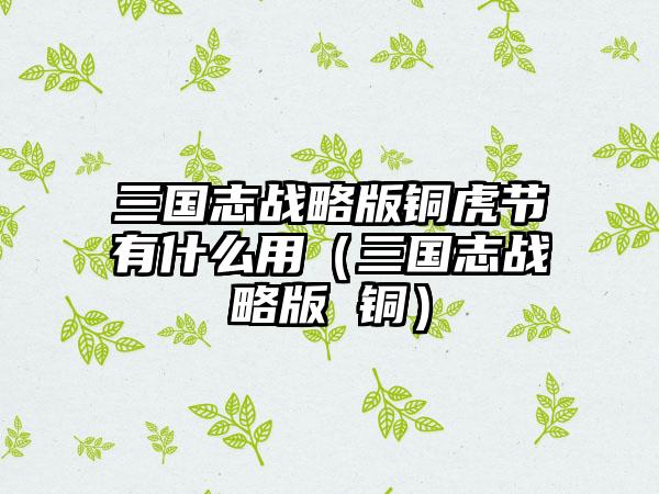 三国志战略版铜虎节有什么用（三国志战略版 铜）