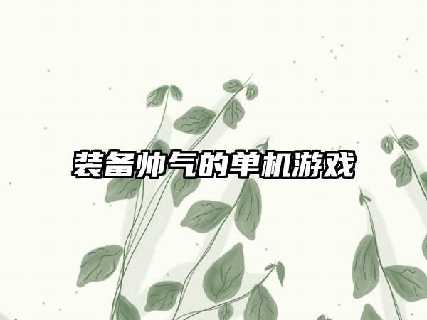 装备帅气的单机游戏
