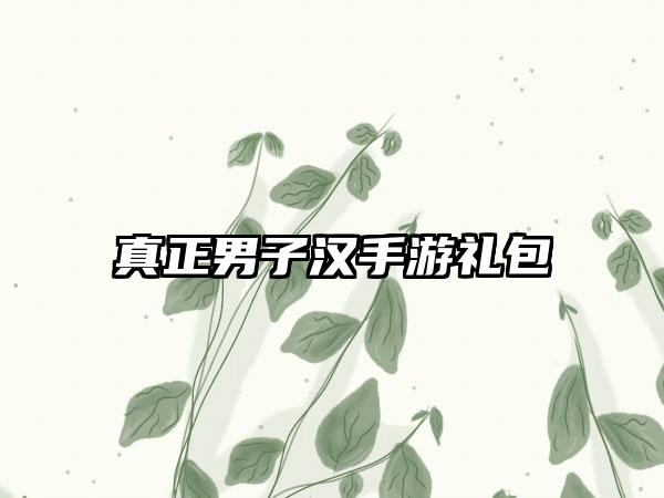 真正男子汉手游礼包