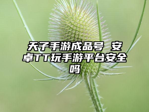 天子手游成品号 安卓TT玩手游平台安全吗