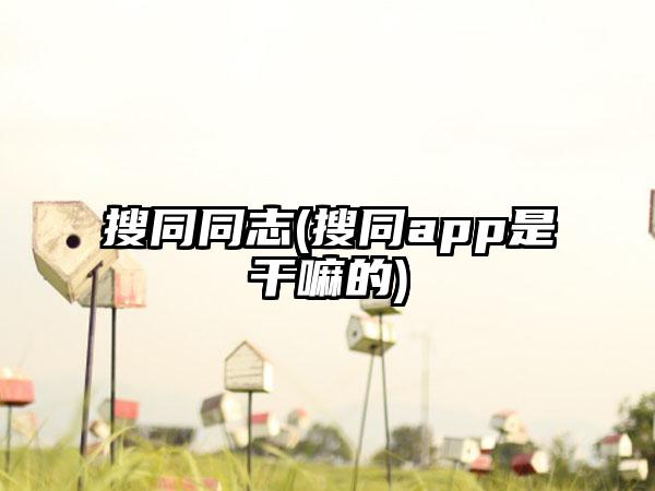 搜同同志(搜同app是干嘛的)