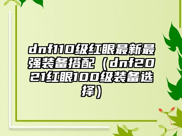 dnf110级红眼最新最强装备搭配（dnf2021红眼100级装备选择）