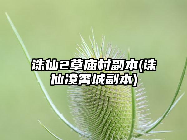 诛仙2草庙村副本(诛仙凌霄城副本)