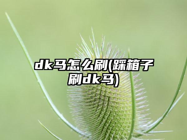 dk马怎么刷(踩箱子刷dk马)