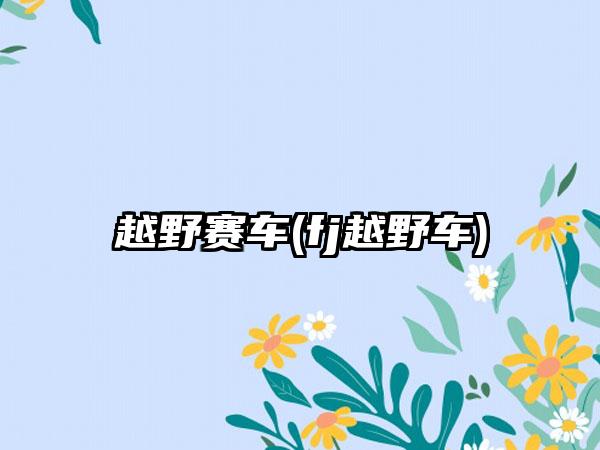 越野赛车(fj越野车)