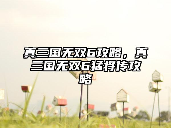 真三国无双6攻略，真三国无双6猛将传攻略