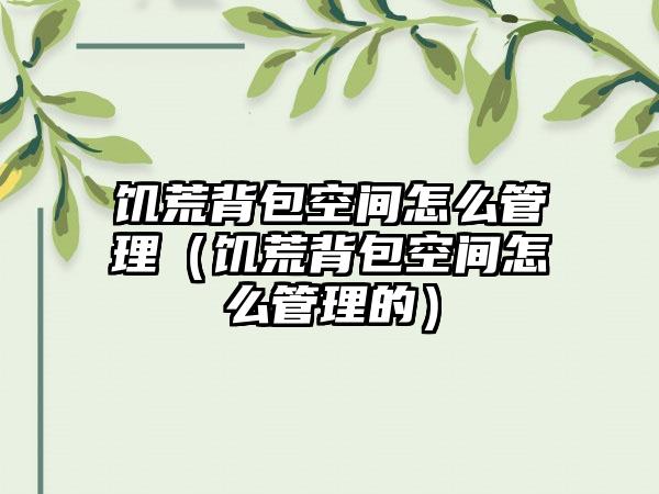 饥荒背包空间怎么管理（饥荒背包空间怎么管理的）