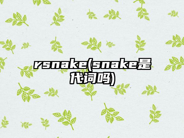 rsnake(snake是代词吗)