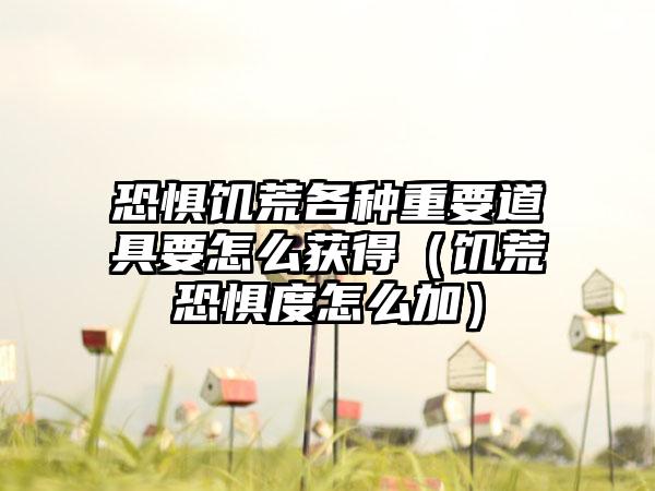 恐惧饥荒各种重要道具要怎么获得（饥荒恐惧度怎么加）