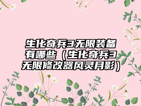 生化奇兵3无限装备有哪些（生化奇兵3无限修改器风灵月影）