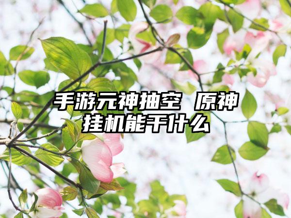 手游元神抽空 原神挂机能干什么