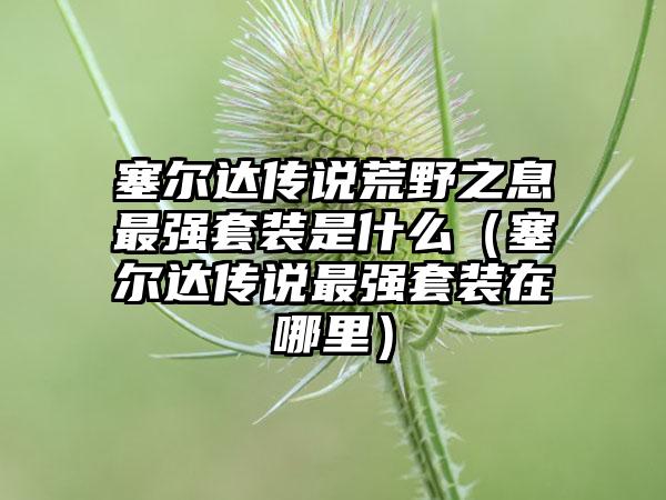 塞尔达传说荒野之息最强套装是什么（塞尔达传说最强套装在哪里）