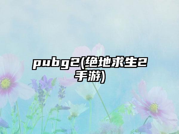 pubg2(绝地求生2手游)