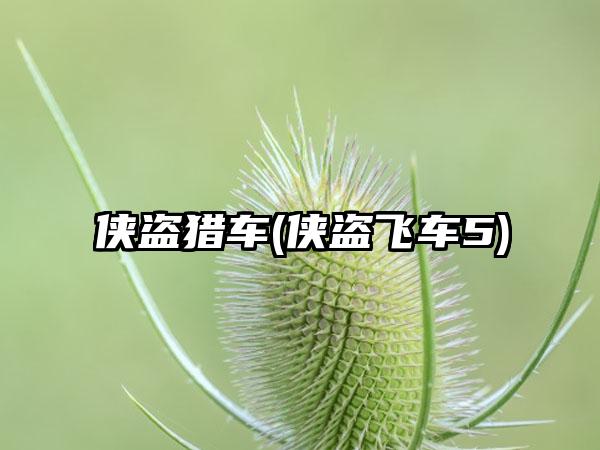 侠盗猎车(侠盗飞车5)