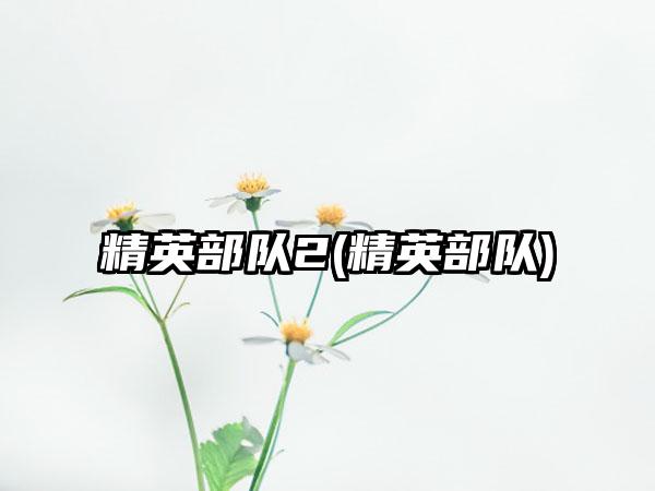精英部队2(精英部队)