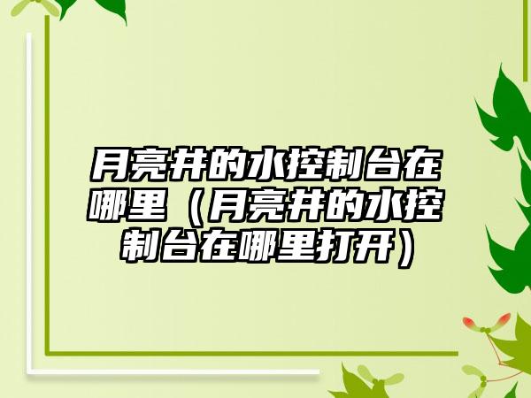 月亮井的水控制台在哪里（月亮井的水控制台在哪里打开）