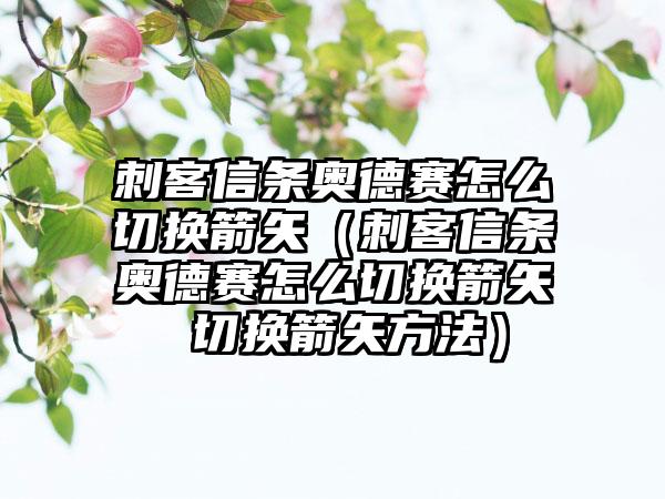 刺客信条奥德赛怎么切换箭矢（刺客信条奥德赛怎么切换箭矢 切换箭矢方法）