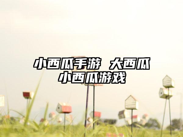 小西瓜手游 大西瓜小西瓜游戏